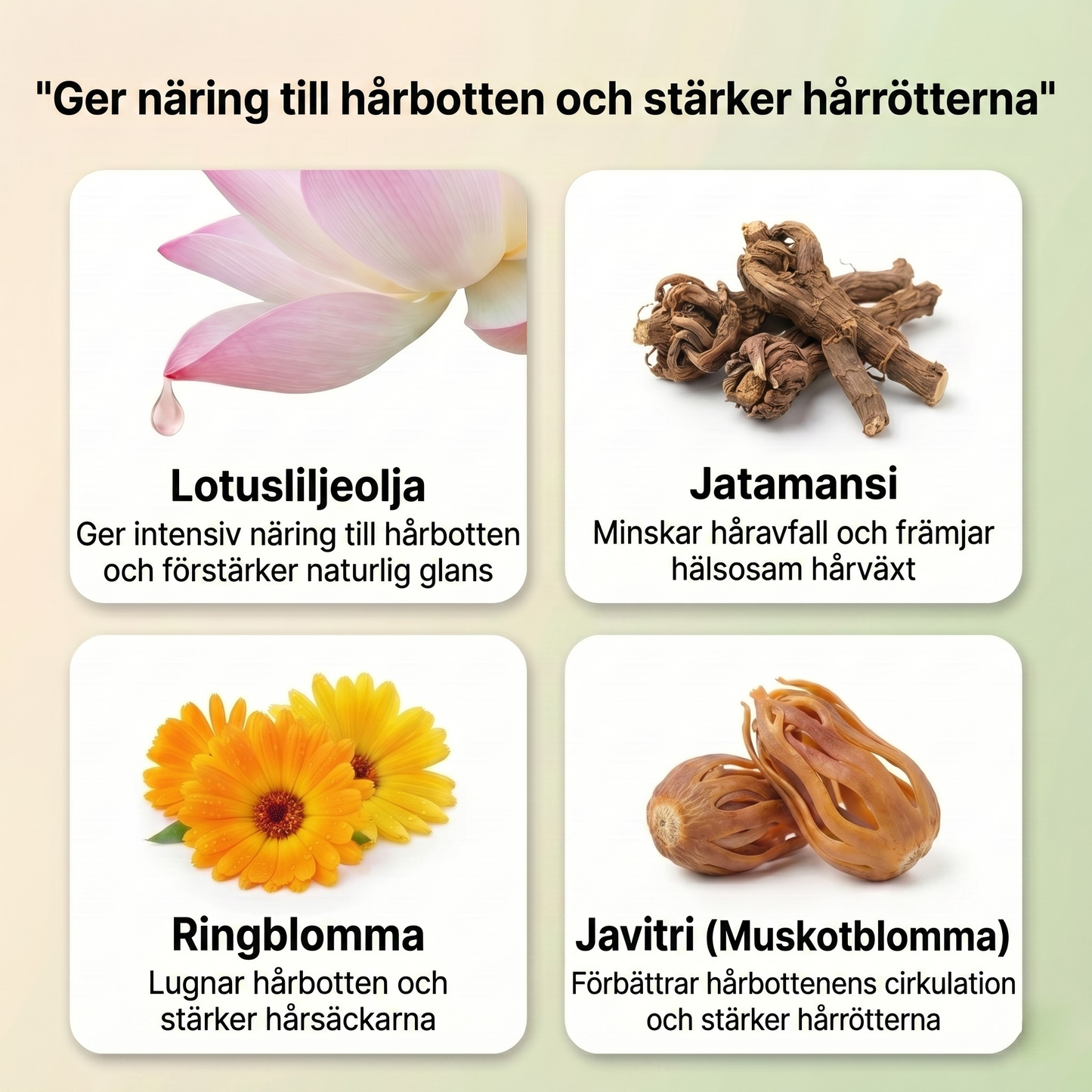 Ayurvedisk hårserumolja med 11 örter för starkare hår, tämjt friss och strålande glans