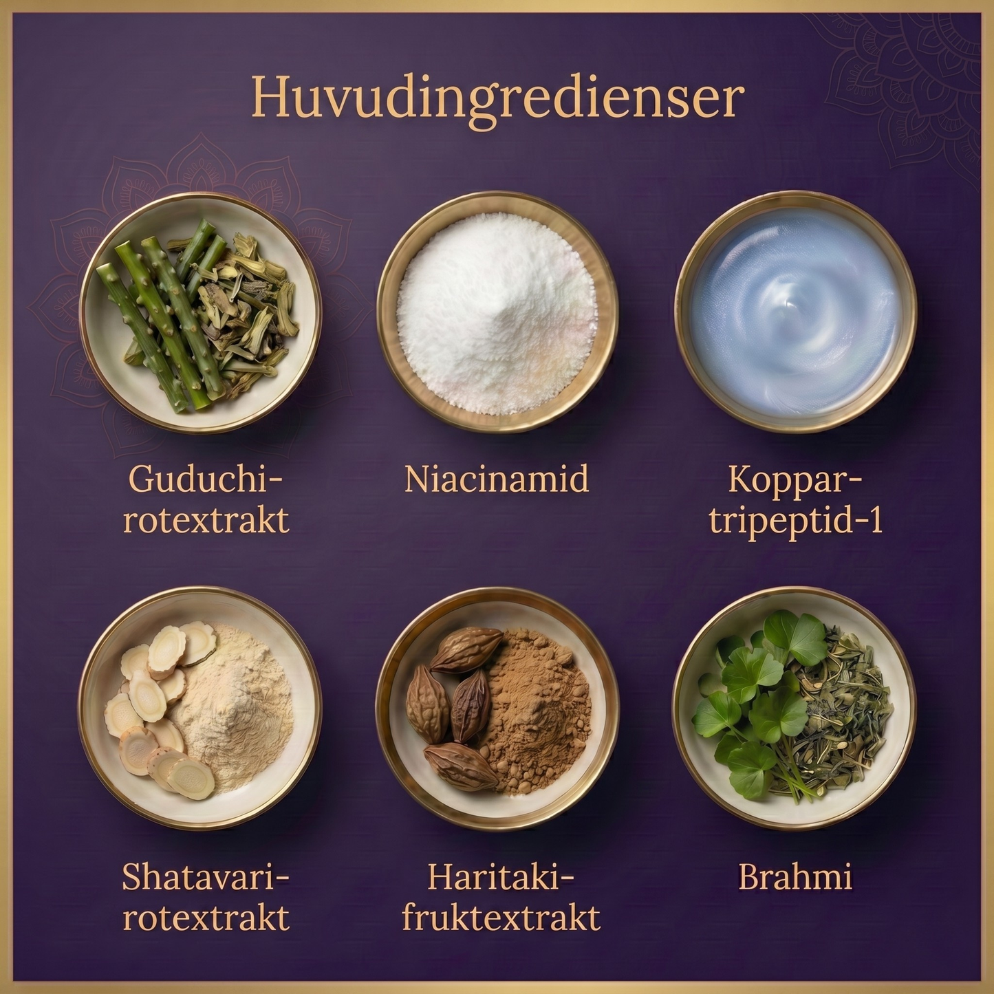 Night Repair Multi-Peptide Face Serum för en kollagenboost, intensiv återfuktning och förnyad lyster