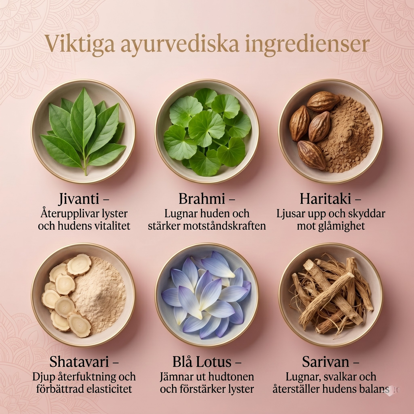8-örter Ayurvediskt strålande dagserum med Syn-Ake-peptid för djup återfuktning, lyster hela dagen och synlig uppstramning